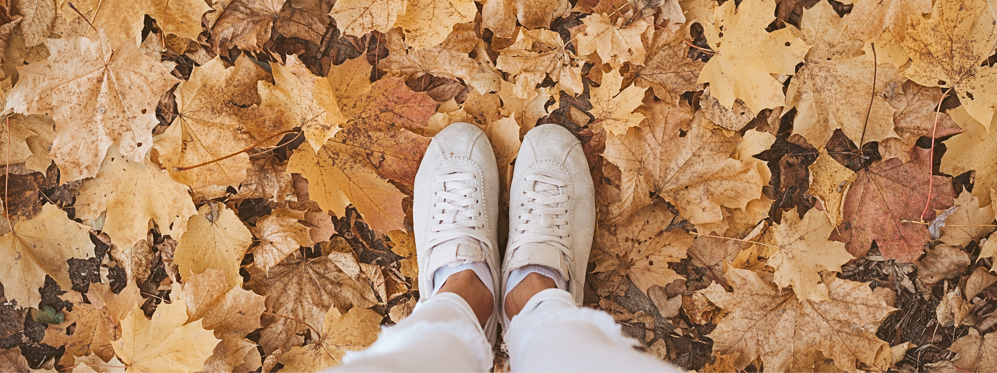De 5 Beste Edelstenen voor de Herfst (en hun betekenis)