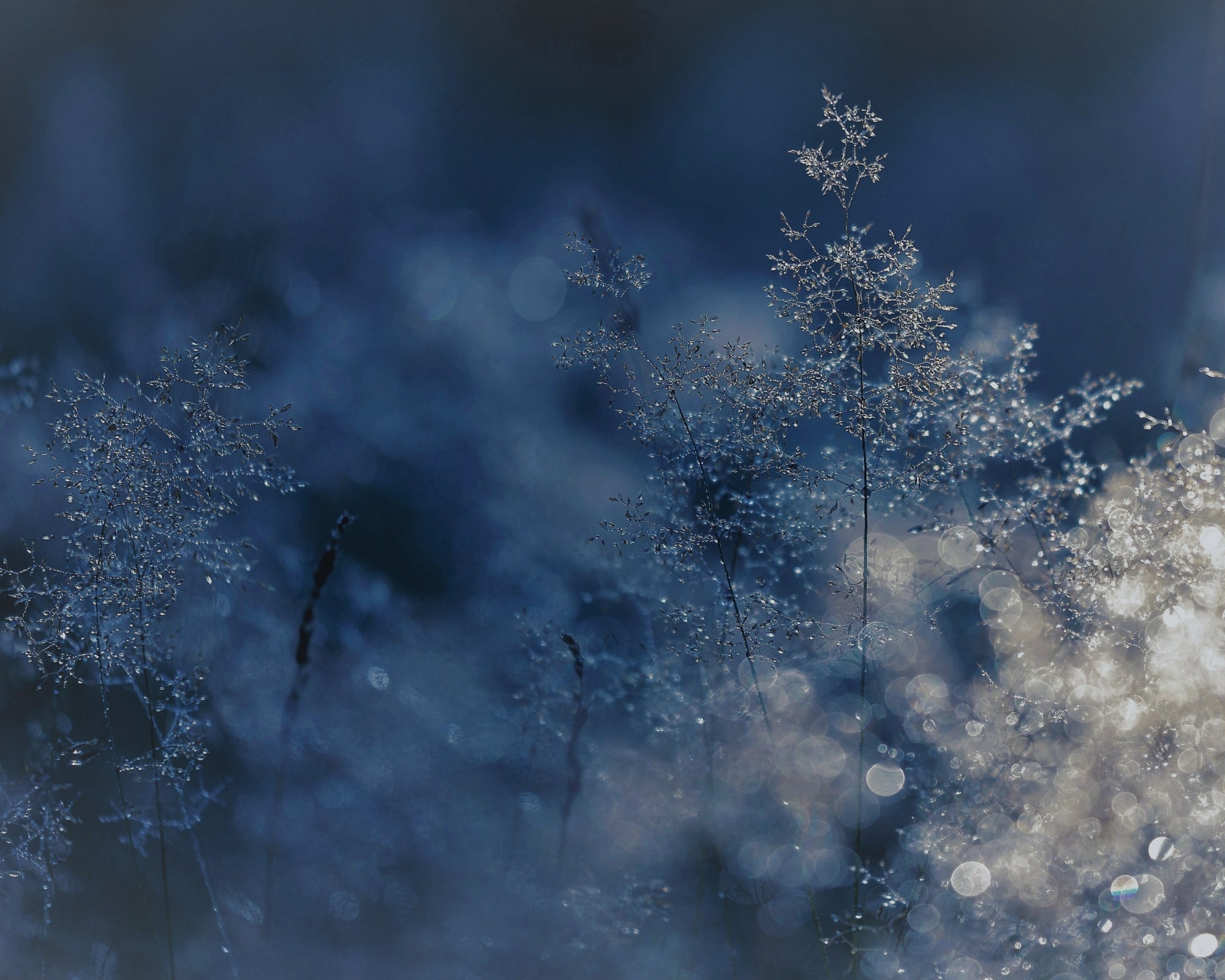 Midwinter - de betekenis & rituelen