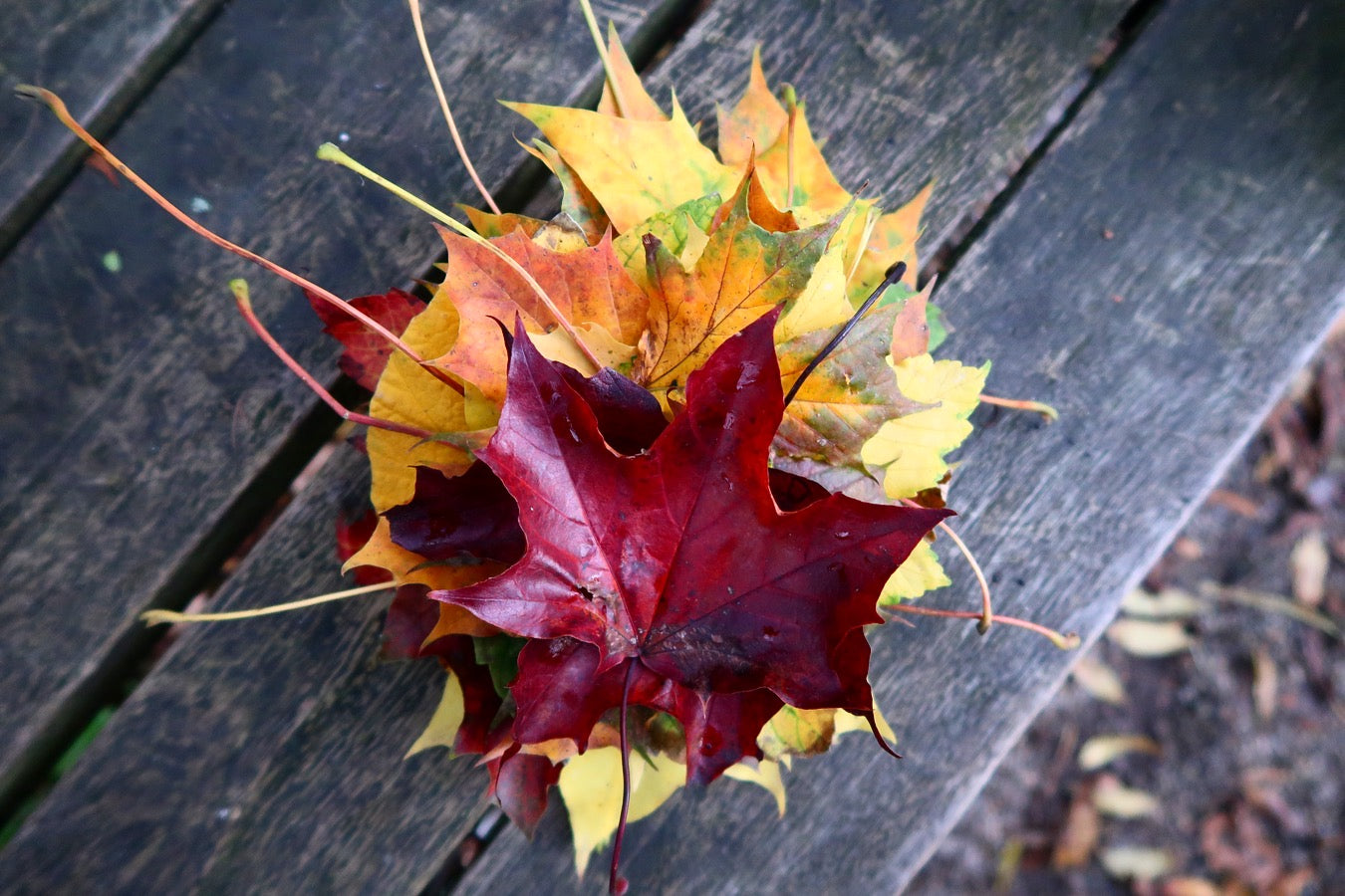 Hoe je de spirituele thema's van de herfst toepast in je eigen leven